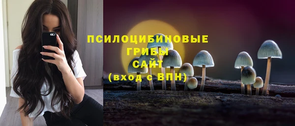 метадон Белокуриха