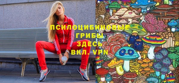 амф Белоозёрский